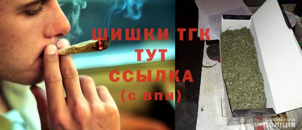 spice Аркадак
