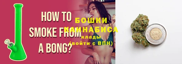 spice Аркадак