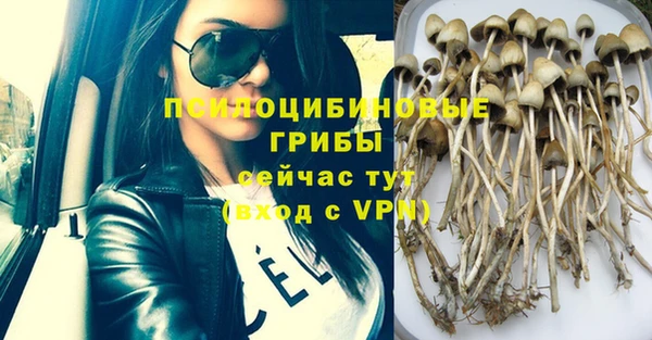 дурь Армянск