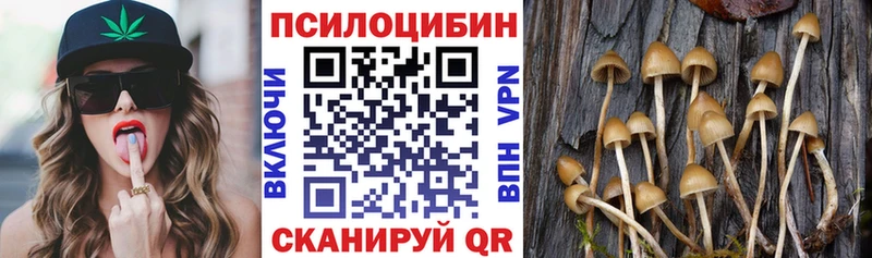 Псилоцибиновые грибы Cubensis  блэк спрут ONION  Малая Вишера 